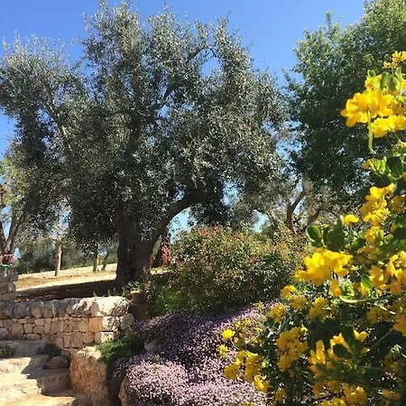 Trullidamare A Ceglie Messapica, Con Piscina Infinity Cisternino